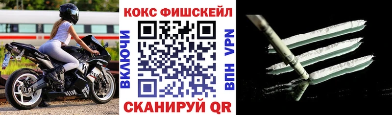 Купить закладку COCAIN  Альфа ПВП  Меф  ГАШ  МДМА  МАРИХУАНА  Миньяр