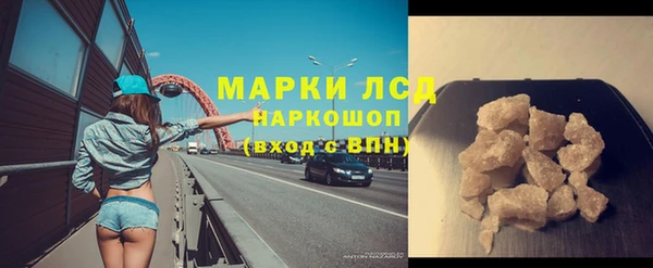 СК Аркадак