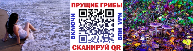 Купить  Миньяр  Псилоцибиновые грибы прущие грибы 